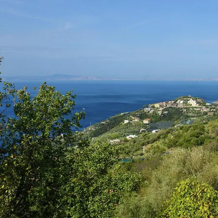 Luxurious Mansion In With Garden * Sorrento