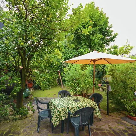 Luxurious Mansion In With Garden *