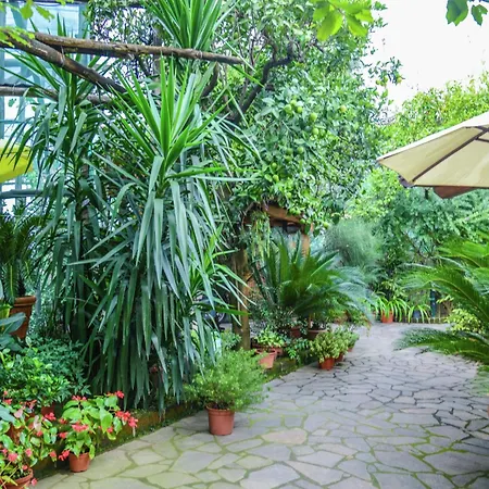 Luxurious Mansion In With Garden Prázdninový dům *