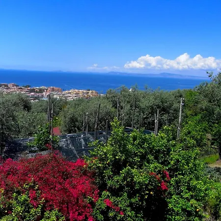 Luxurious Mansion In With Garden * Sorrento